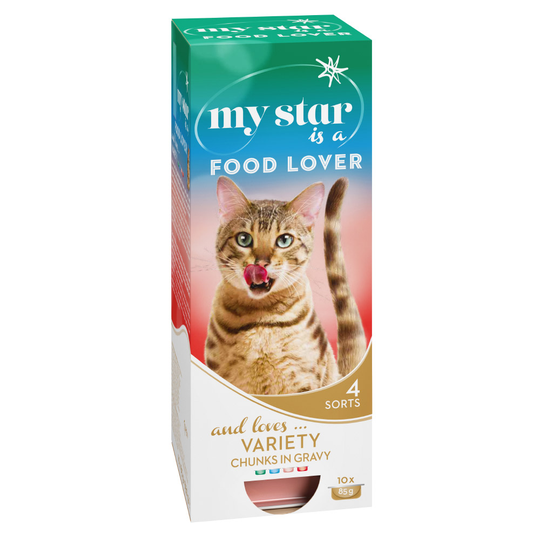 My Star -kokeilupakkaus 10 x 90 g - Food Lover - kastikesekoitus (4 makua)