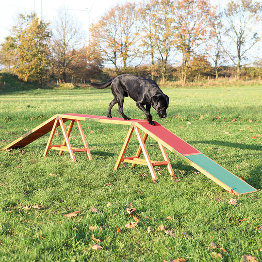 Trixie Dog Activity Agility -puomi - P 456 x L 30 x K 64 cm