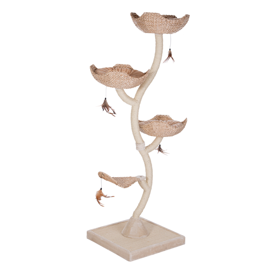 Cat´s Flower XXL -raapimispuu - kerma