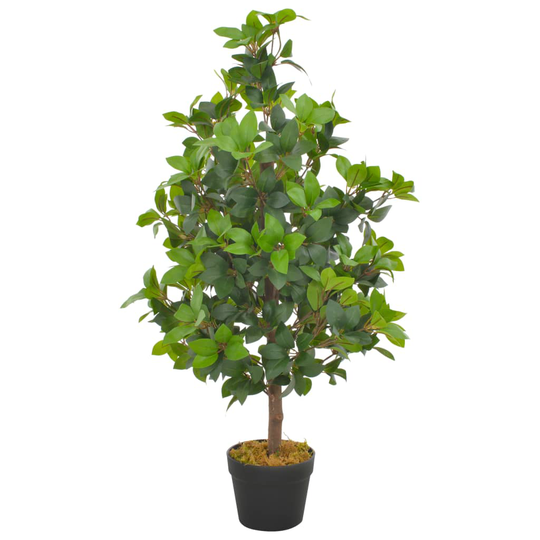 vidaXL Tekokasvi laakeripuu ruukulla vihreä 90 cm
