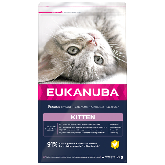 Eukanuba Healthy Start Kitten - säästöpakkaus: 3 x 2 kg