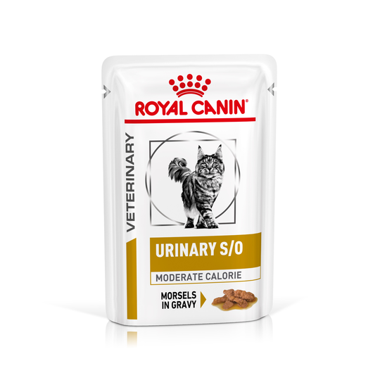 Royal Canin Veterinary Diet Feline Urinary S/O Moderate Calorie - 12 x 85 g makupalat kastikkeessa