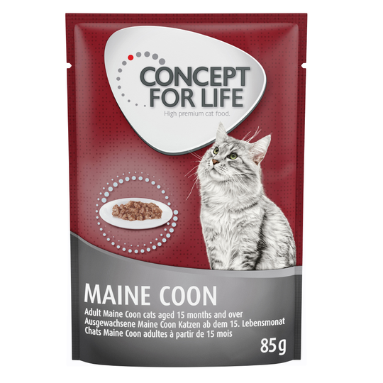 Concept for Life Maine Coon Adult Ragout - 24 x 85 g