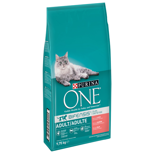 9,75 kg Purina ONE kissanruoka erikoishintaan! - Adult Salmon & Whole Grain Cereals