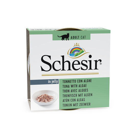 Schesir in Jelly 6 x 85 g - tonnikala & levät
